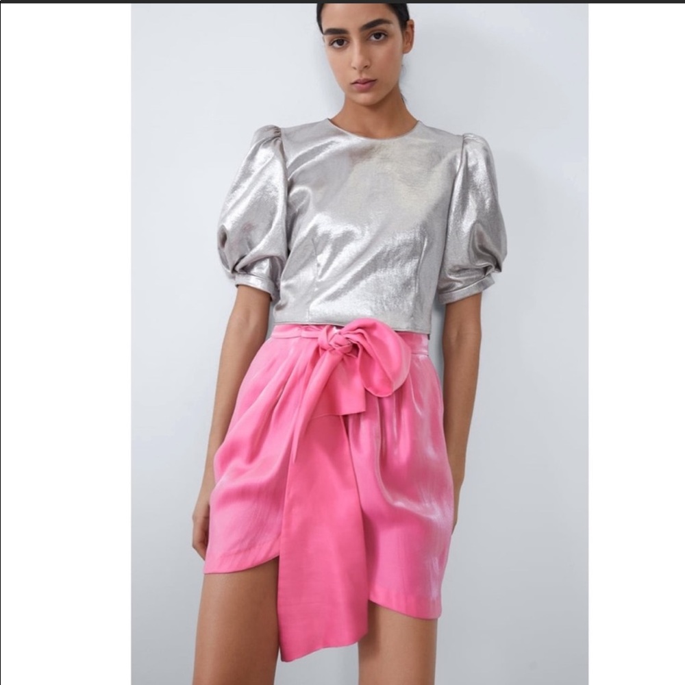 NWT Zara pink skirt